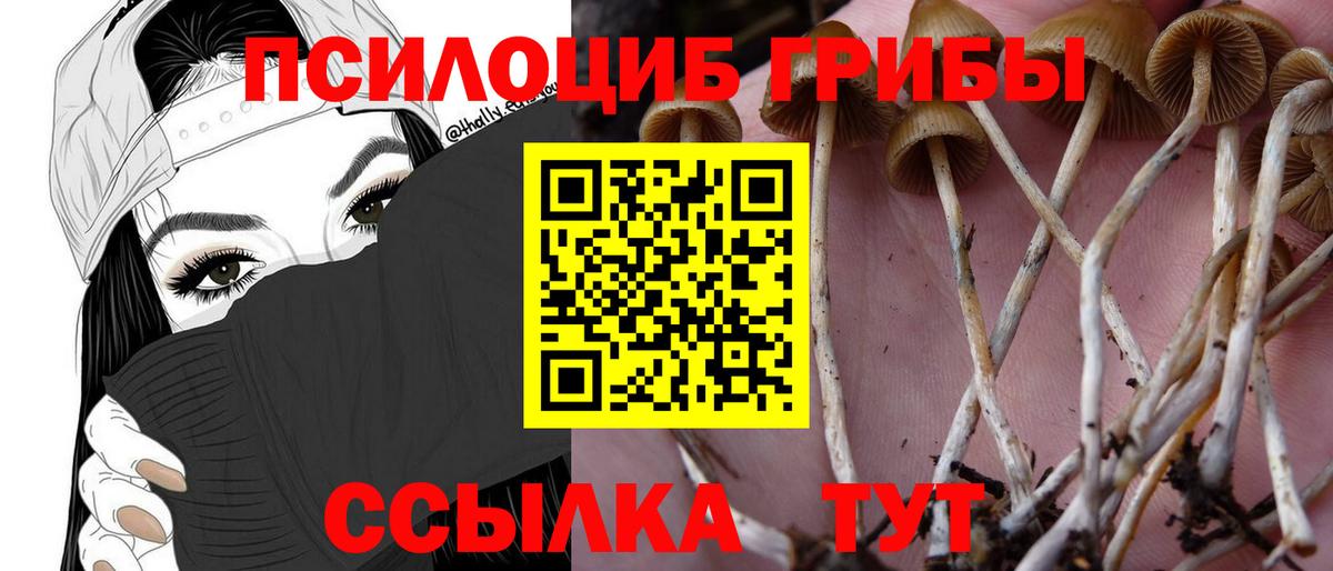 Балаково  Галлюциногенные грибы мицелий  Вход с VPN 